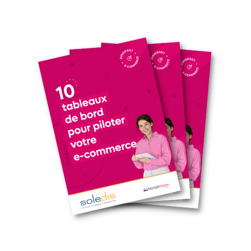 Livre blanc gestion data ecommerce de l'agence webmarketing Soledis