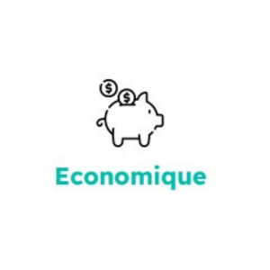 icone économique