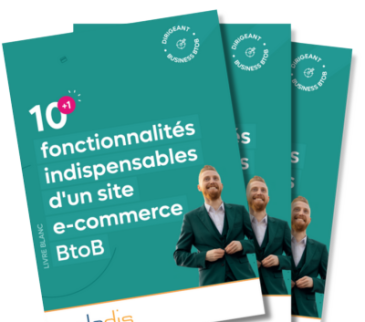 Livre blanc ecommerce BtoB agence Soledis